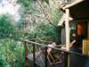 Phantom Forest - Private Deck2 